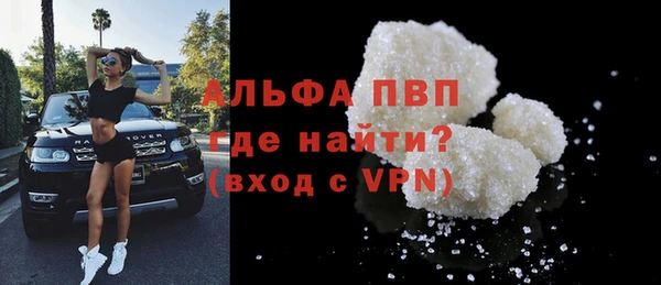 прущие грибы Бронницы