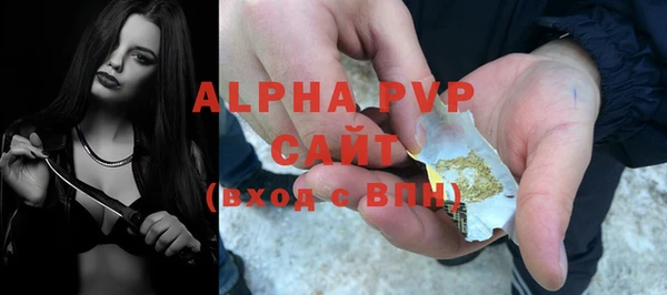 прущие грибы Бронницы
