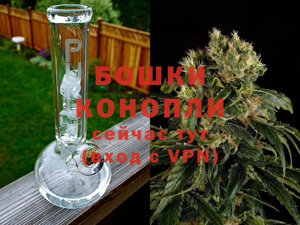 прущие грибы Бронницы