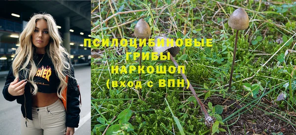 прущие грибы Бронницы