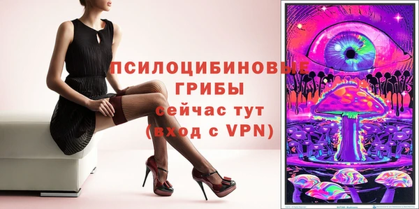 прущие грибы Бронницы
