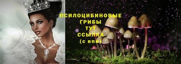 прущие грибы Бронницы
